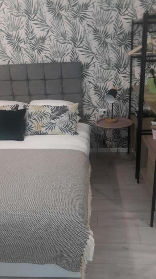 The Cozy Studio, Varna City Centre المظهر الخارجي الصورة